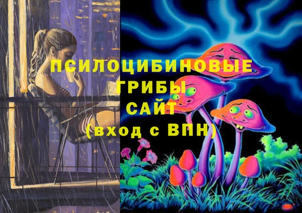 spice Алексин