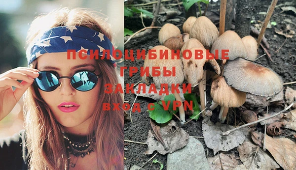 spice Алексеевка