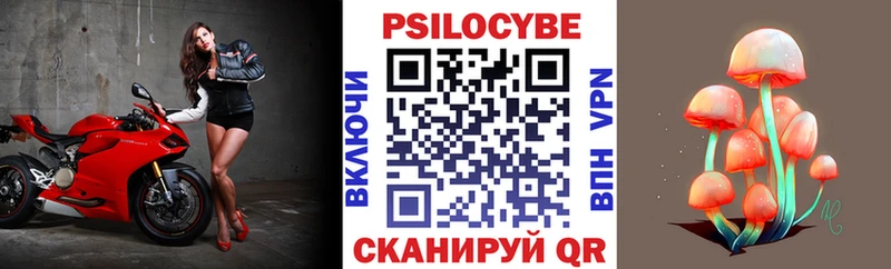 Купить где  Новотитаровская  Галлюциногенные грибы мицелий 
